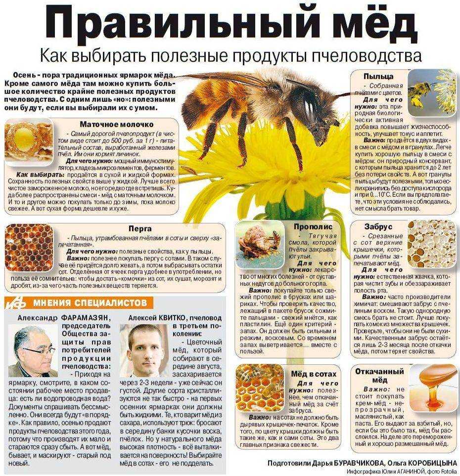 Все виды меда от самого популярного до самого редкого, какой мед вы еще не пробовали?