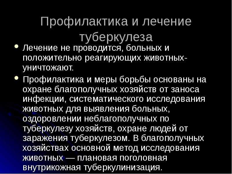 Туберкулёз у животных