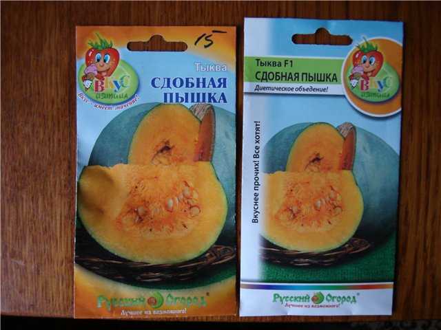 Выращивание тыквы: хитрости и секреты урожая - дачные советы.ру