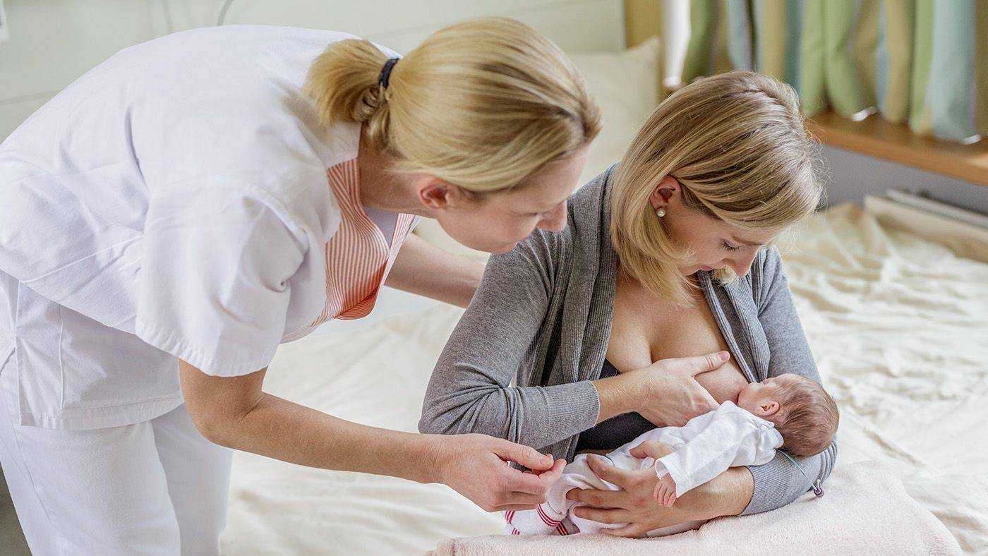 Можно ли давать ребенку мед? мед детям до года