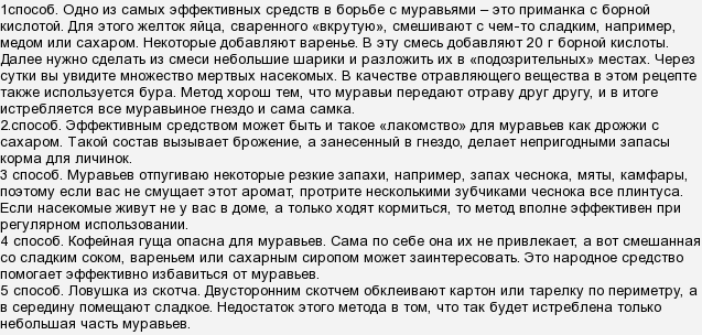 Борная кислота от муравьев в квартире: рецепт отравы с яйцом, сахаром, медом, дрожжами + отзывы
