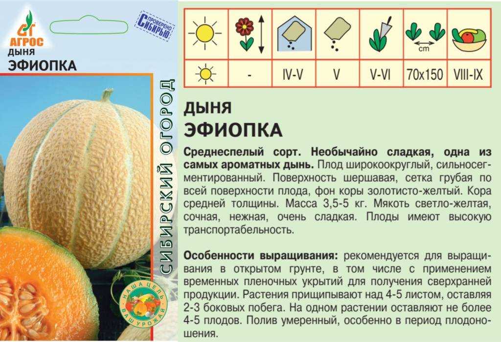 Лучшие сорта дынь для подмосковья и средней полосы - как подобрать семена и вырастить качественный урожай, правила ухода