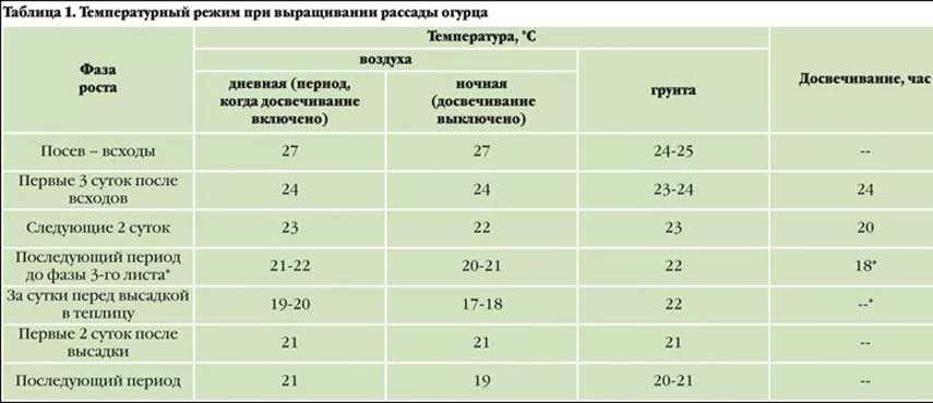 Температура для кабачков в открытом грунте: какую минимальную выдерживают ночью
