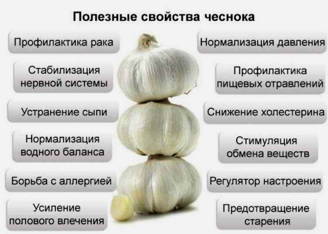 Польза чесночной шелухи для организма, какие 100 болезней она лечит, есть ли вред | народная медицина | dlja-pohudenija.ru