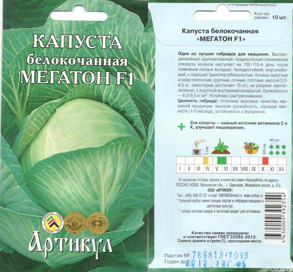 Капуста ринда: характеристика и описание гибридного сорта с фото