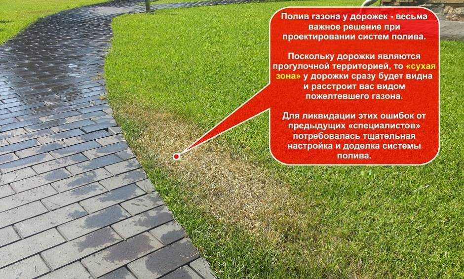 Нормы полива газона.