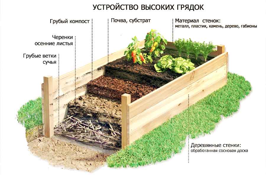 Как очистить запущенный и заросший бурьяном земельный участок под дачу от высокой травы и сорняков. все проверенные способы! - снн-с какой новости начать?
