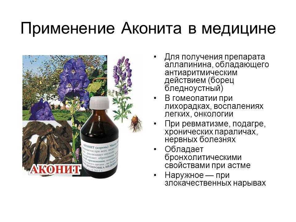 Цветы аконит: аконит: это одно из самых ярких, но в то же время ядовитых растений, которые существуют.
