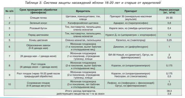 Чем обработать яблоню весной от вредителей и болезней: до цветения, во время цветения, при распускании почек, при плодоношении, по регионам, благоприятные дни