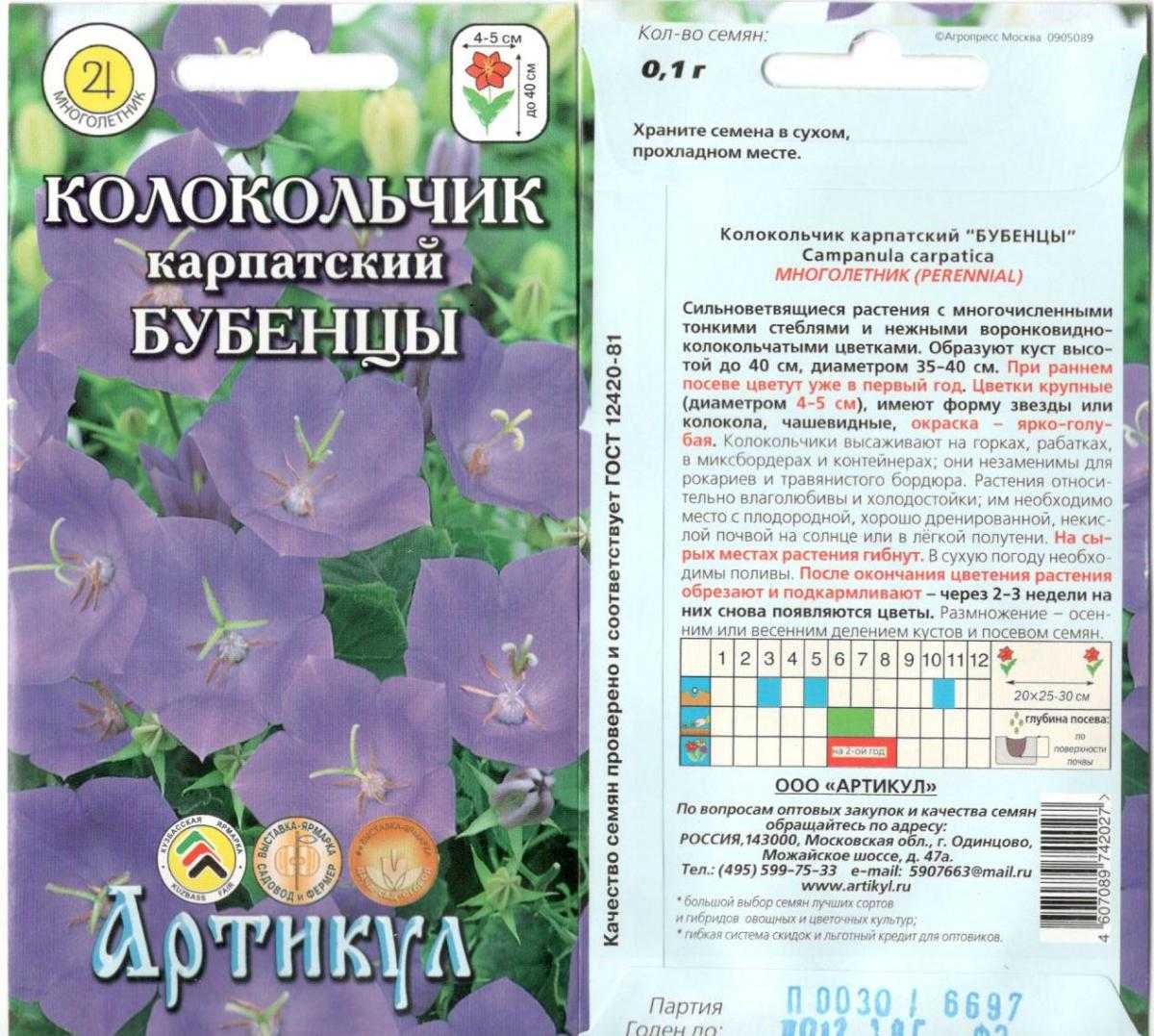 Кампанула уход в домашних условиях | сад и дача