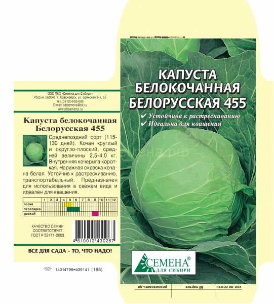 Капуста белорусская: описание сорта, фото, характеристика, отзывы, урожайность, особенности выращивания