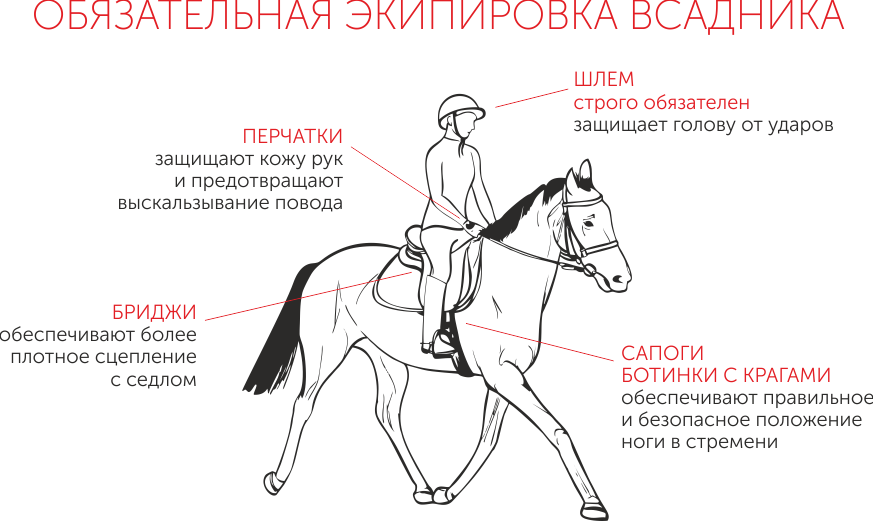 Уроки верховой езды