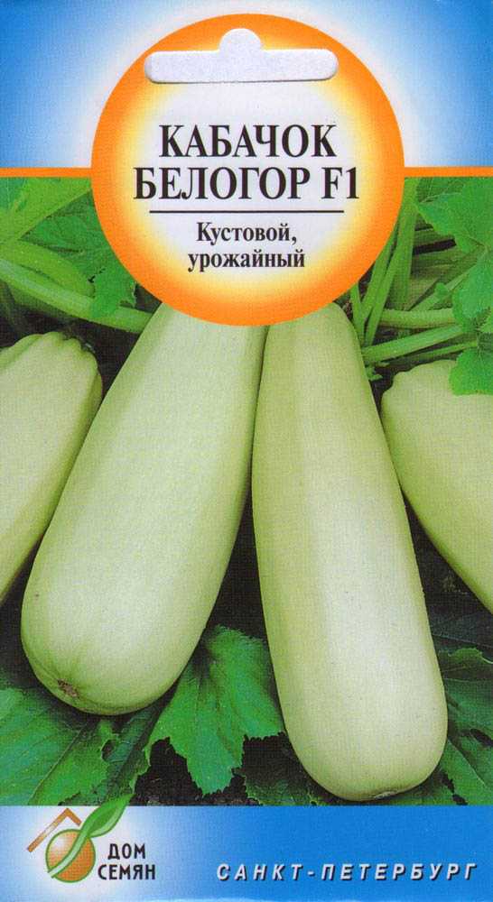 Кабачки выращивание и уход в открытом грунте