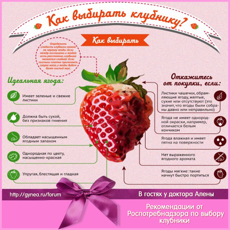 Все о клубнике: польза и вред, что вкусного из нее можно приготовить | simpleslim