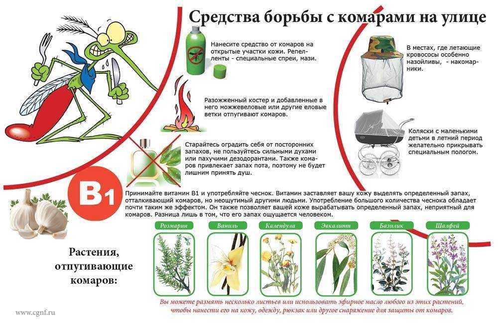 Чего боится оса: как отпугнуть ос на улице, что отпугивает, что не любят осы