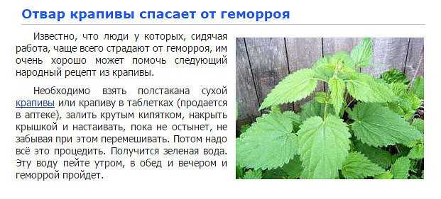 Как вывести крапиву с участка