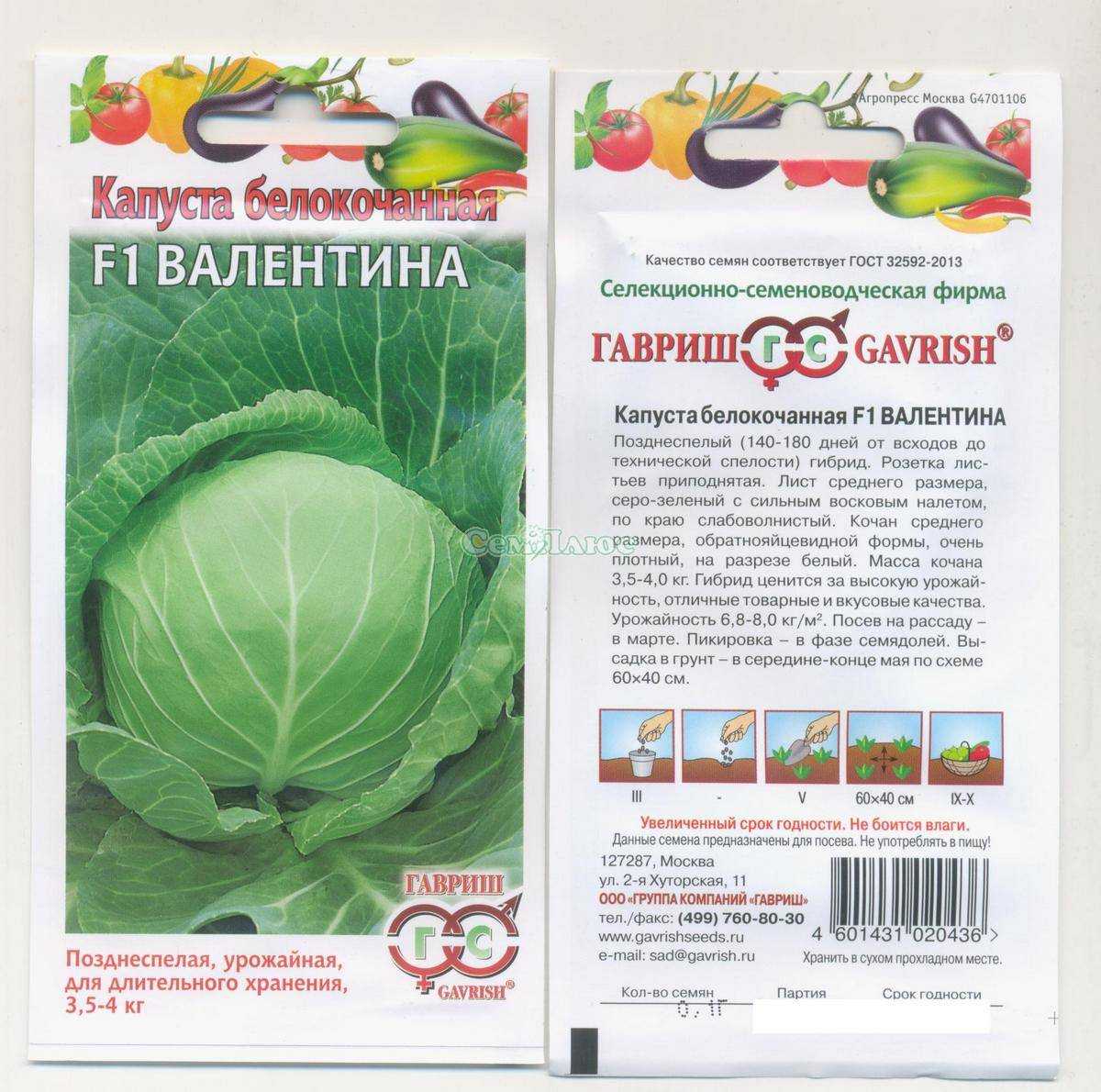 Капуста валентина: отзывы, фото, описание, выращивание, посадка и уход за сортом