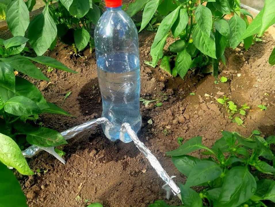Капельный полив 💦 своими руками из пластиковых бутылок для дачи в теплице
