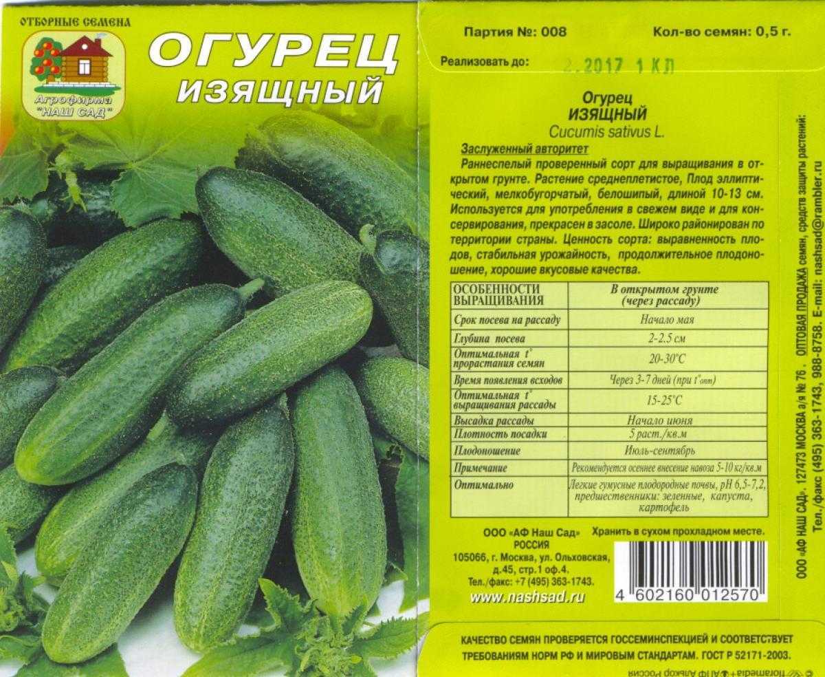 Выбираем самые сладкие сорта огурцов, которые никогда не горчат