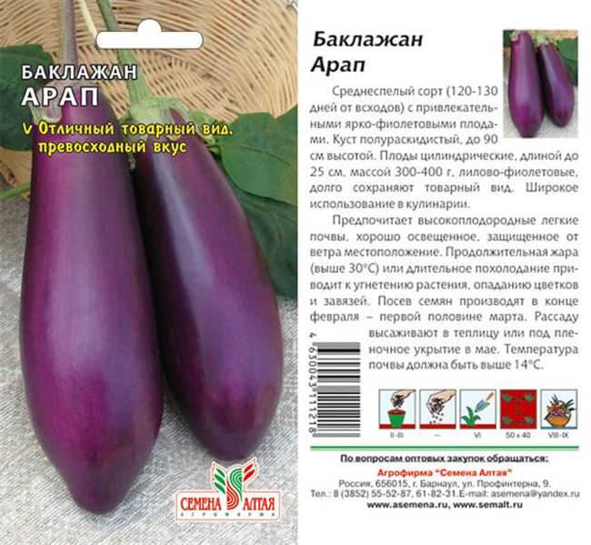 Лучшие сорта баклажанов на 2023 год: самые урожайные, вкусные, для теплиц и открытого грунта