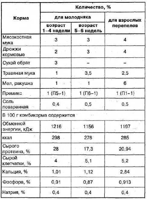 Выращивание и содержание перепелов в домашних условиях