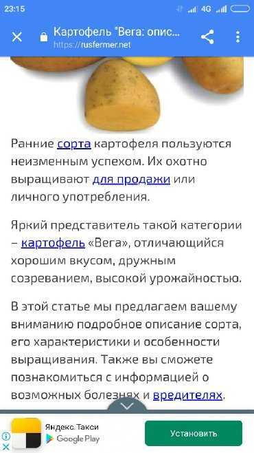 Картофель "вега: описание сорта, основные характеристики, фото русский фермер