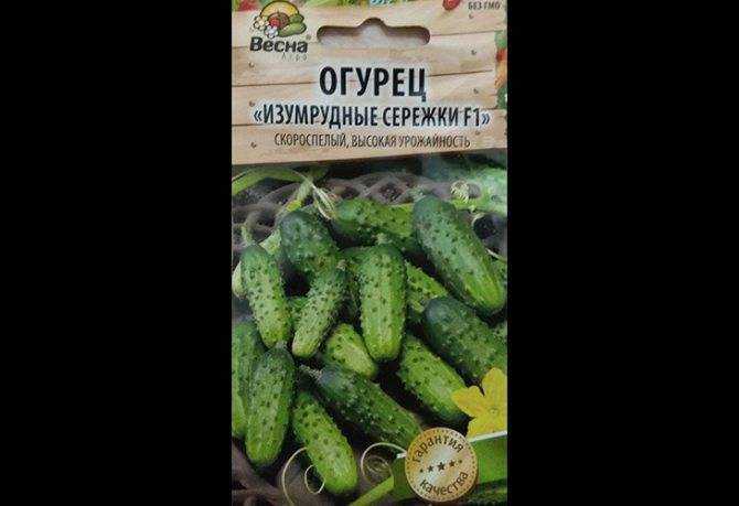 Огурец изумрудные сережки (f1): отзывы, описание, характеристики, выращивание