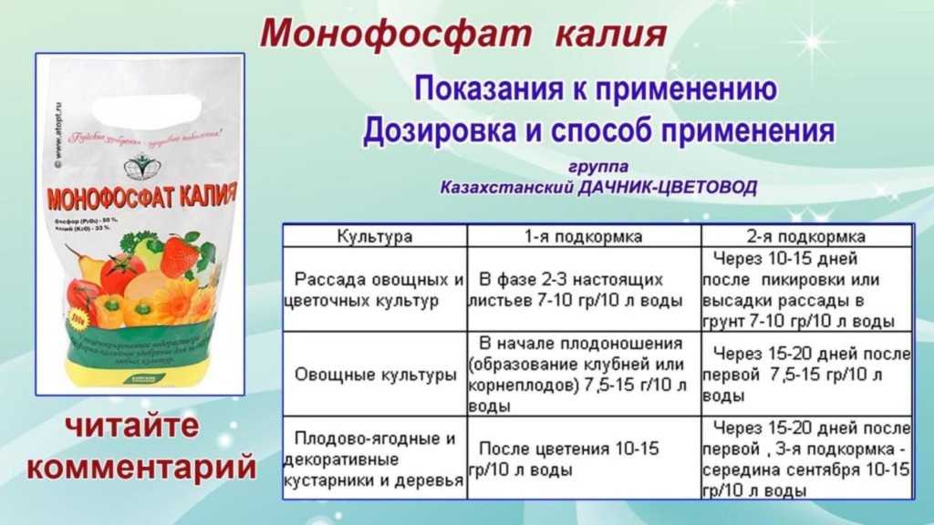 Подкармливаем рассаду правильно. удобрение рассады — ботаничка