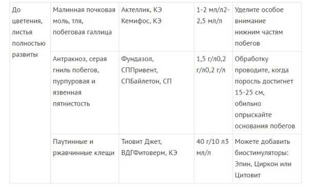 Болезни малины: описание симптомов заболеваний с фото и способы их лечения