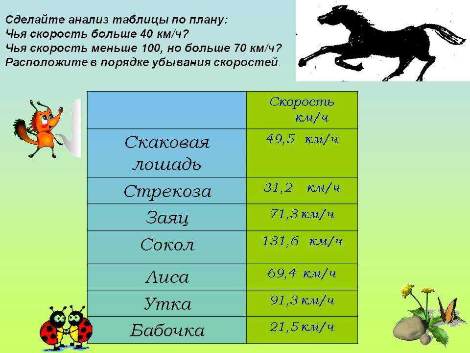 С какой скоростью бегает скаковая лошадь, рекорды на скачках