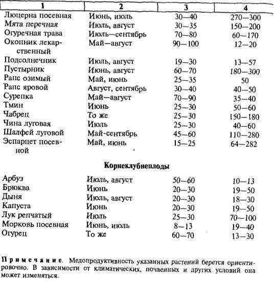 Самые медоносные растения: как цветут лучшие медоносы средней полосы россии, ленинградской области, сибири по месяцам цветения