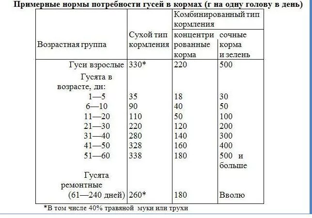 Корм для гусей в домашних условиях -