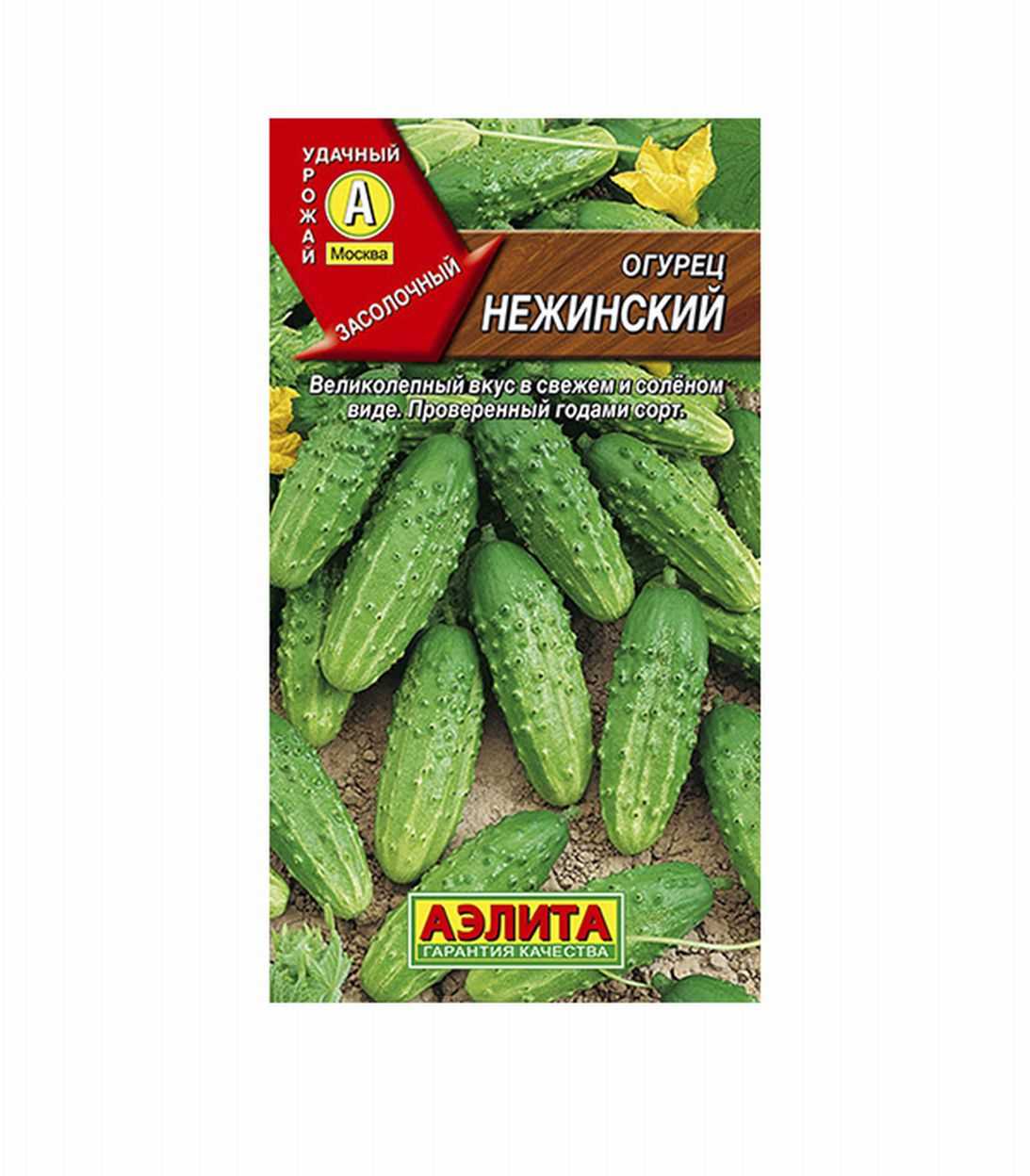 Огурец нежинский: описание сорта с фото, правила посадки и ухода, сбор урожая