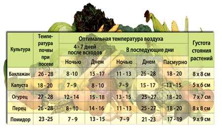 Когда и как сажать огурцы (семенами и рассадой) в теплицу в 2023 году 