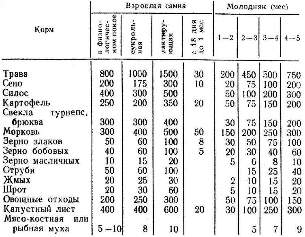 Как крольчиха кормит крольчат: сколько раз в сутки, сколько дней: советы опытных кролиководов. когда можно отсаживать? сколько крольчат способна вскормить крольчиха. как вообще определить сыты ли крол