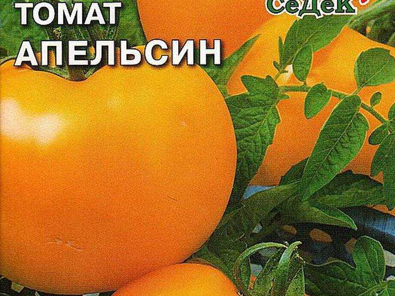 Томат апельсин описание сорта, его характеристика, фото, особенности выращивания русский фермер