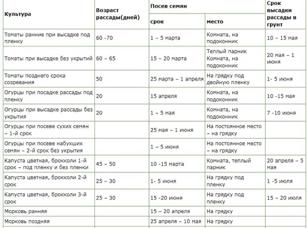Ранние огурцы в теплице | как вырастить ранний урожай в неотапливаемой теплице [2 способа]