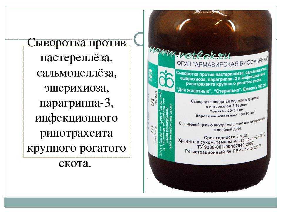 Заболевания коров
