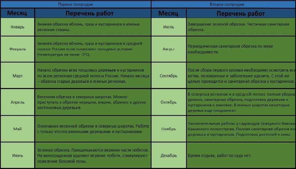 Способы летней окулировки плодовых деревьев