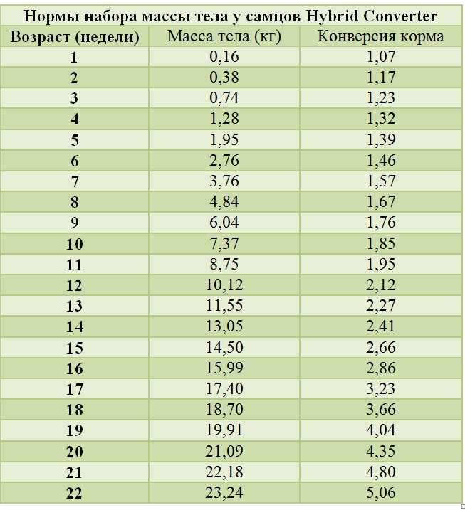 Индюки хайбрид конвертер: характеристика и описание породы, фото, отзывы