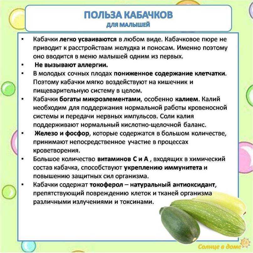 В чем разница цукини и кабачков?
