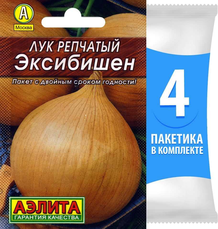 Как высаживать рассаду лука эксибишен в грунт