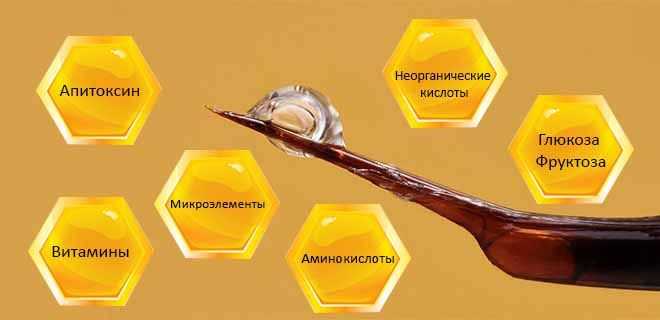 Пчелиный яд: состав, действие, польза и вред