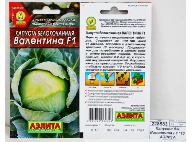 О капусте Валентина: описание и характеристика позднего белокочанного сорта