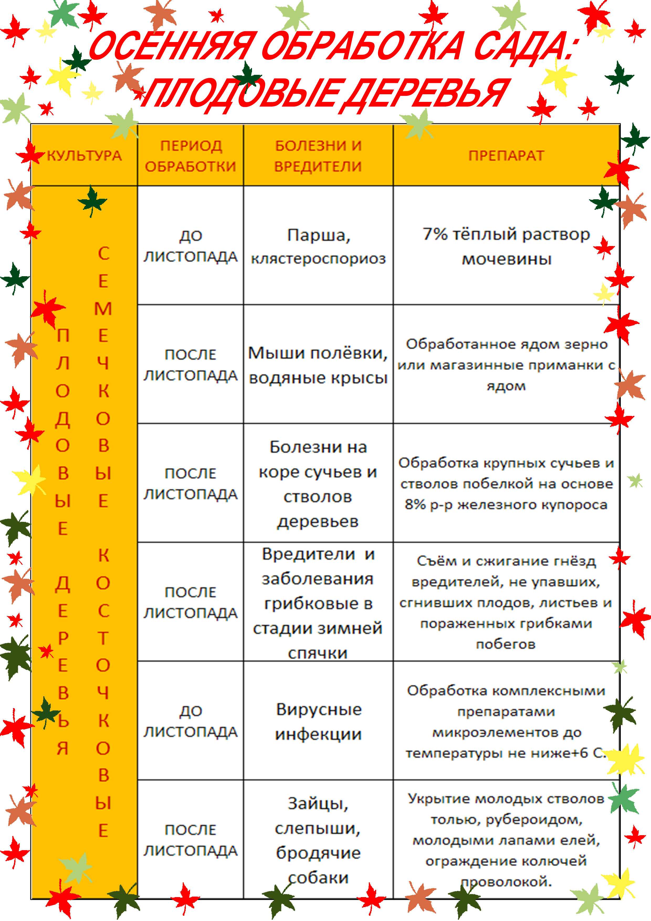 Весенняя обработка плодовых деревьев: сроки, средства, особенности