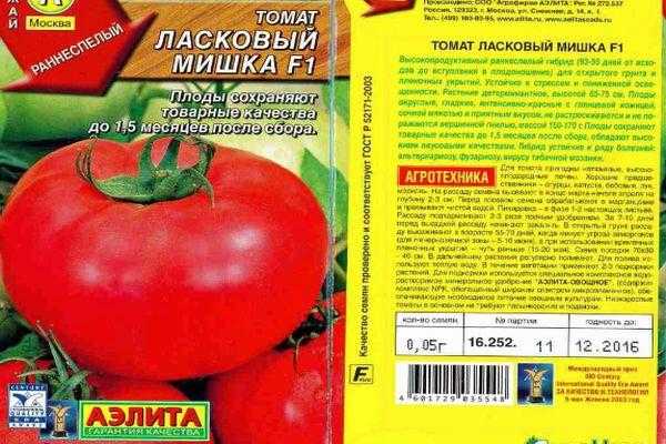 Все о томате ласковый миша: как выглядит, характеристики и описание сорта