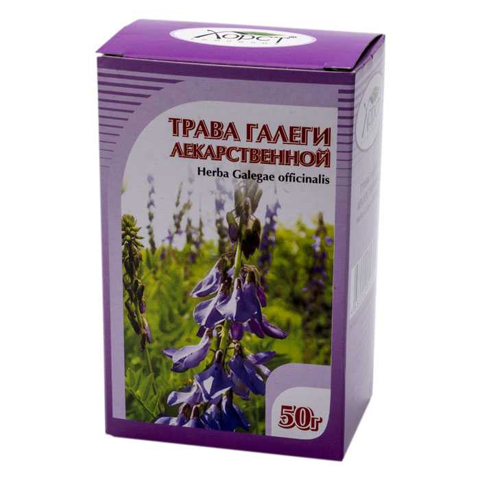 Галега — лечебные свойства травы при сахарном диабете и противопоказания