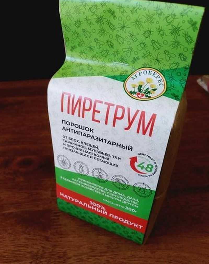 Как вывести клопов с помощью пиретрума из далматской ромашки: плюсы и минусы, инструкция по применению