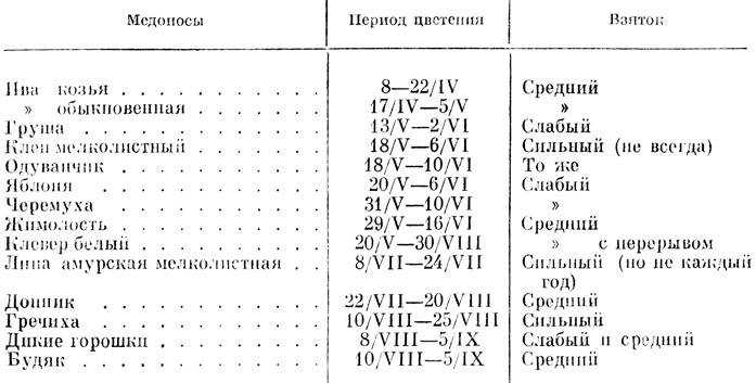 Лучших медоносы для пчел: специально высеиваемые цветы многолетники