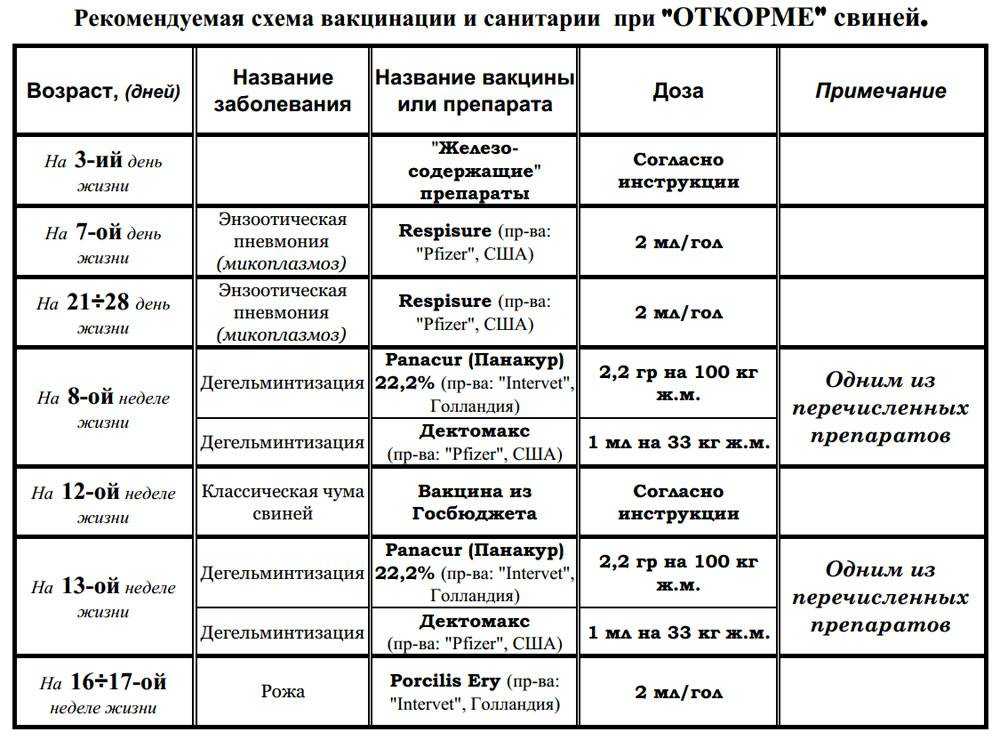 О прививках поросятам: вакцина ППД для свиней, инструкция, какие уколы ставят